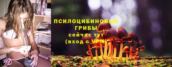 эйфоретик Абаза