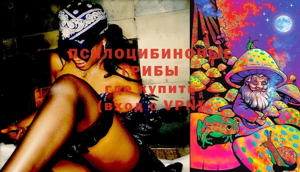 эйфоретик Абаза